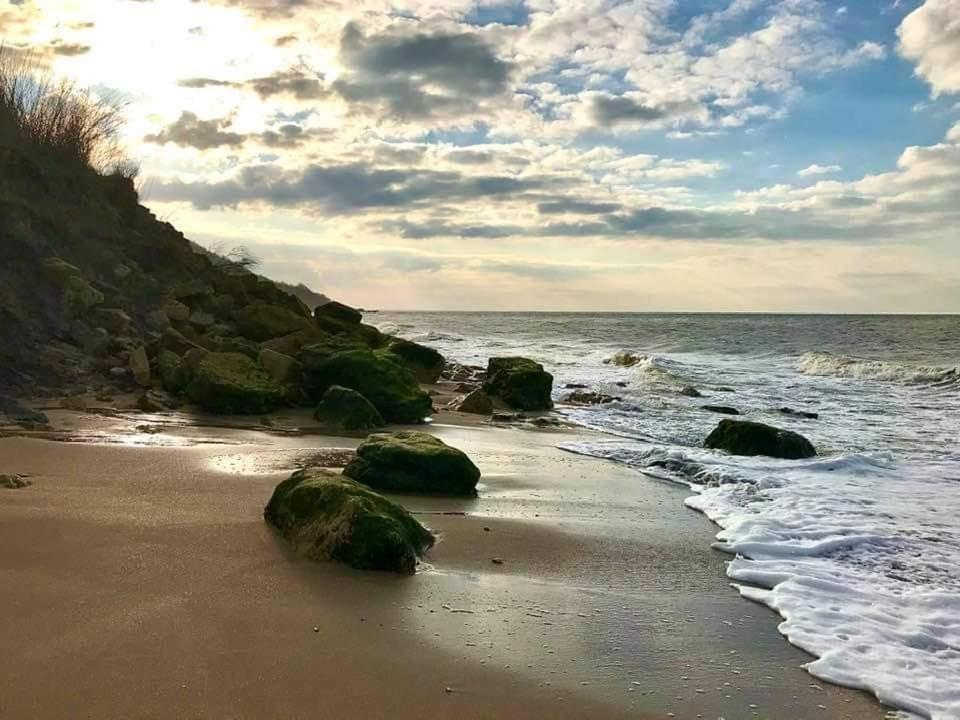 2 Chambres, 50M Centre Ville Plage, Jardin Wifi Villers-sur-Mer Eksteriør bilde